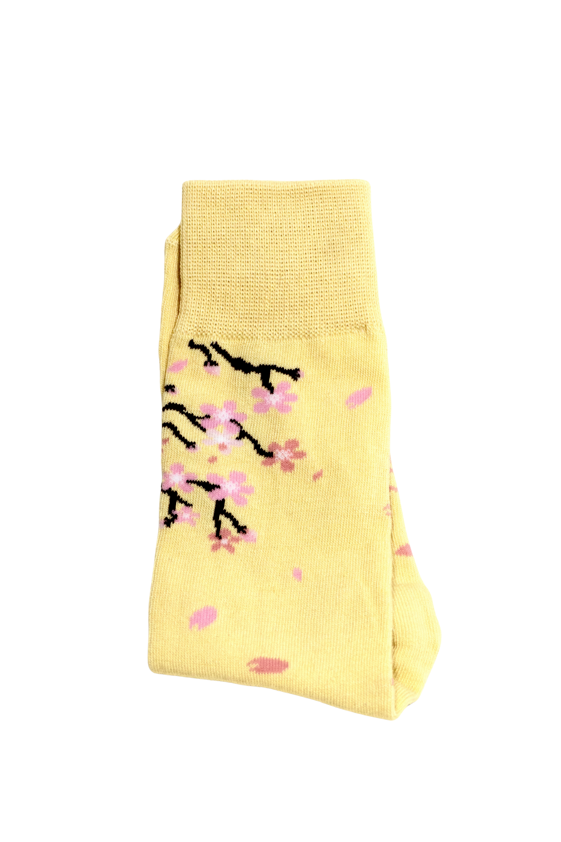 Sakura Blossom