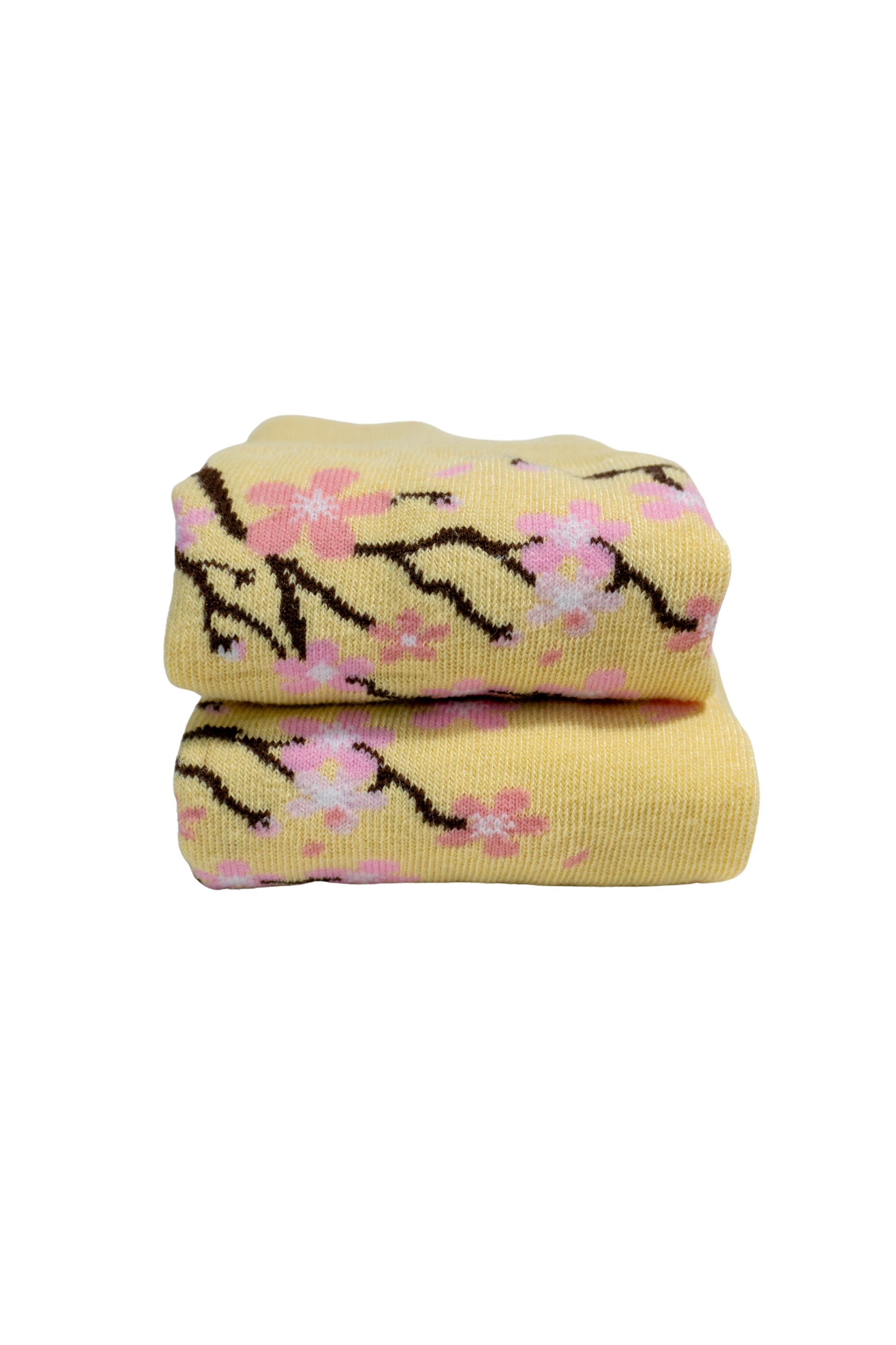 Sakura Blossom
